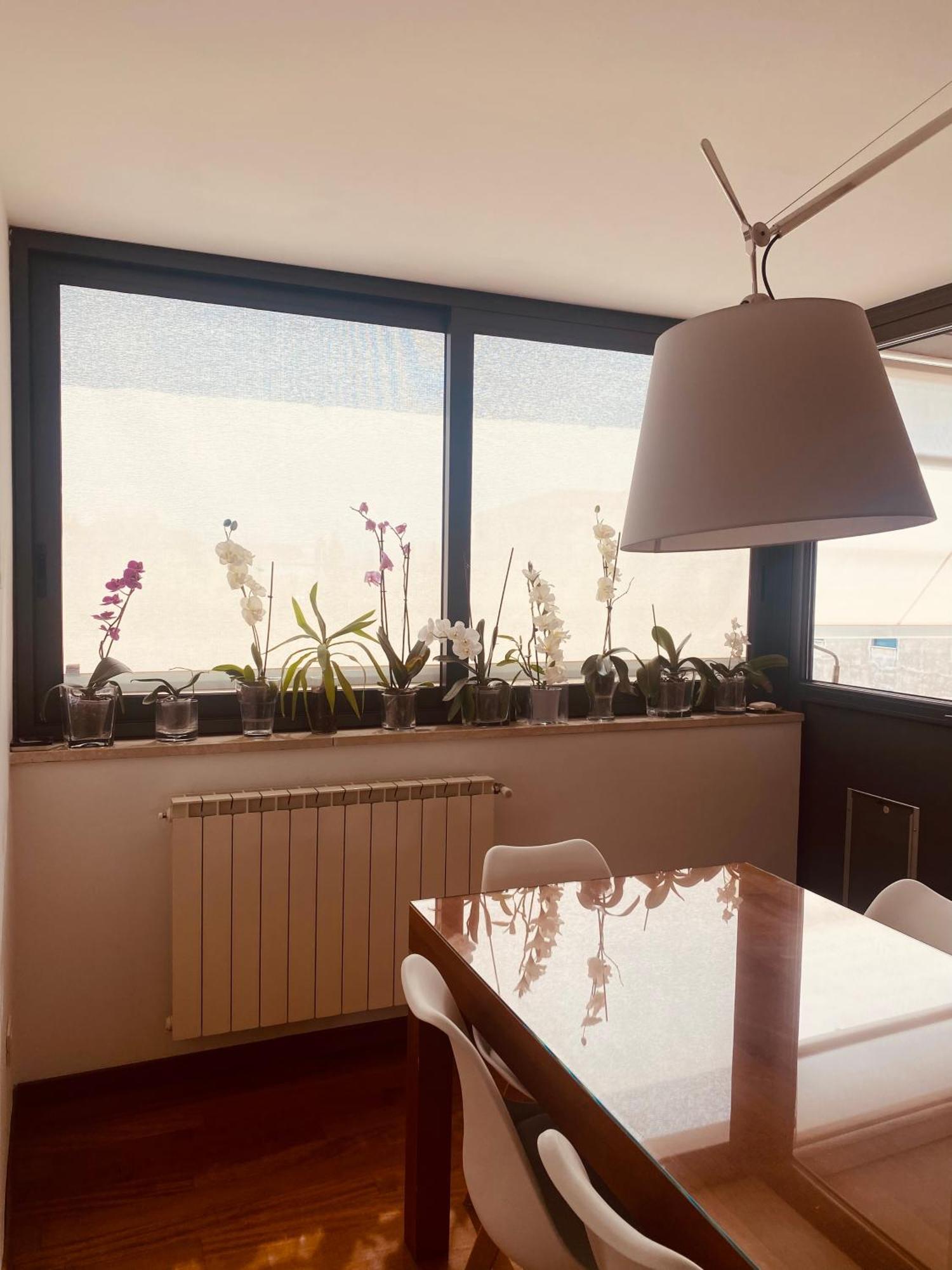 La Casa Di Dani Apartman Firenze Kültér fotó