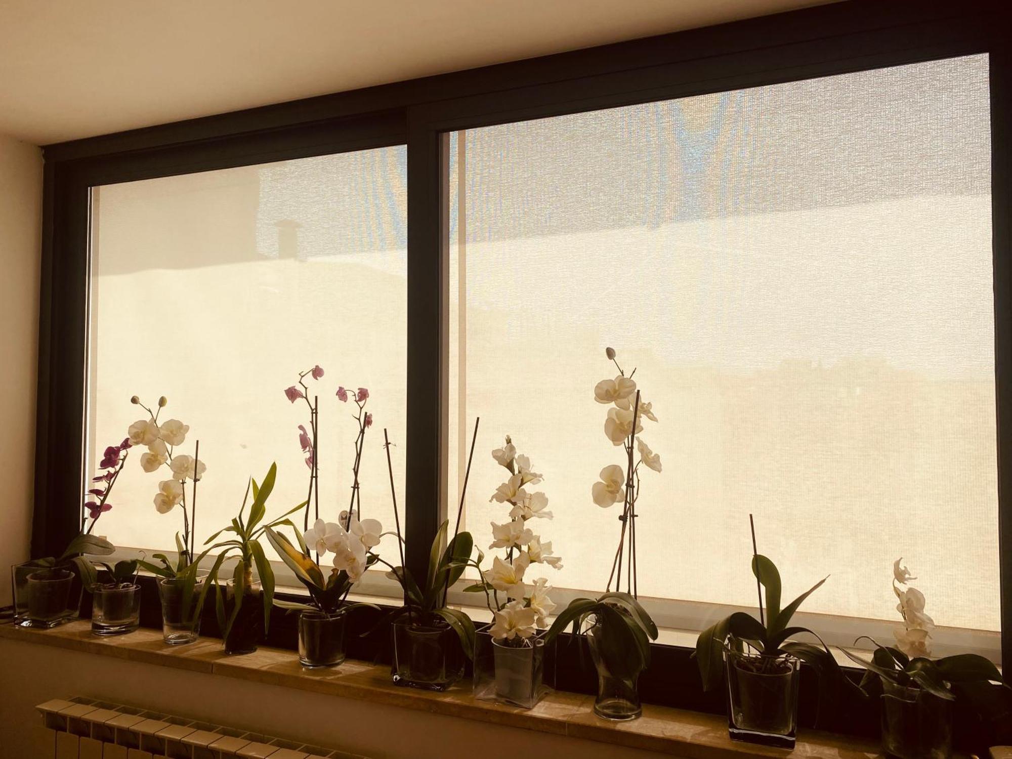 La Casa Di Dani Apartman Firenze Kültér fotó